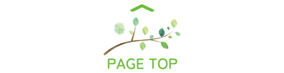 pagetop